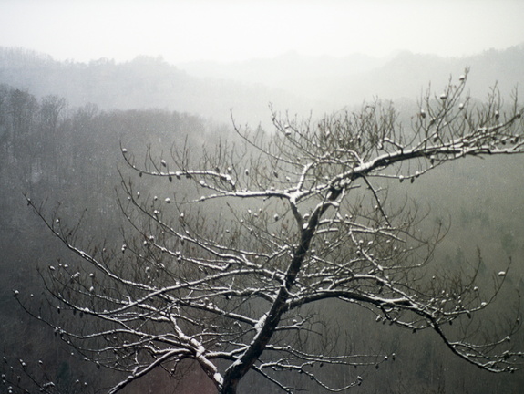 Snow Showers on Auxier Ridge