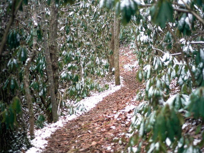 Snow Showers on Auxier Ridge