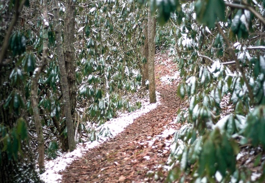 Snow Showers on Auxier Ridge