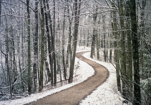 Snow Showers on Auxier Ridge