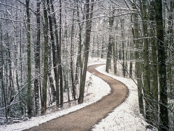 Snow Showers on Auxier Ridge