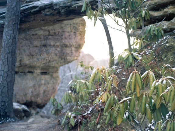 Snow Showers on Auxier Ridge