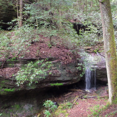 Hawk Creek Gorge spring morning hike