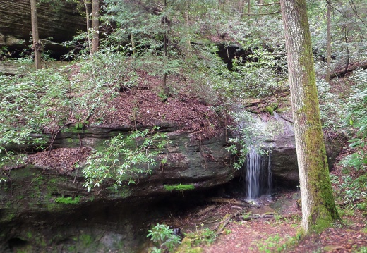 Hawk Creek Gorge spring morning hike