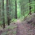 Trail.jpg