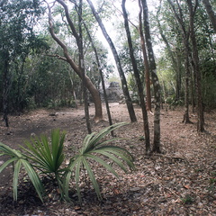 CobÃ¡