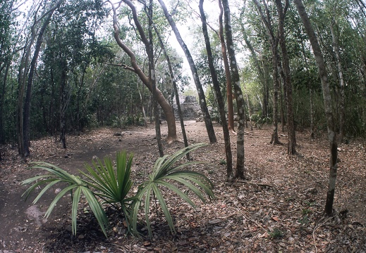 CobÃ¡