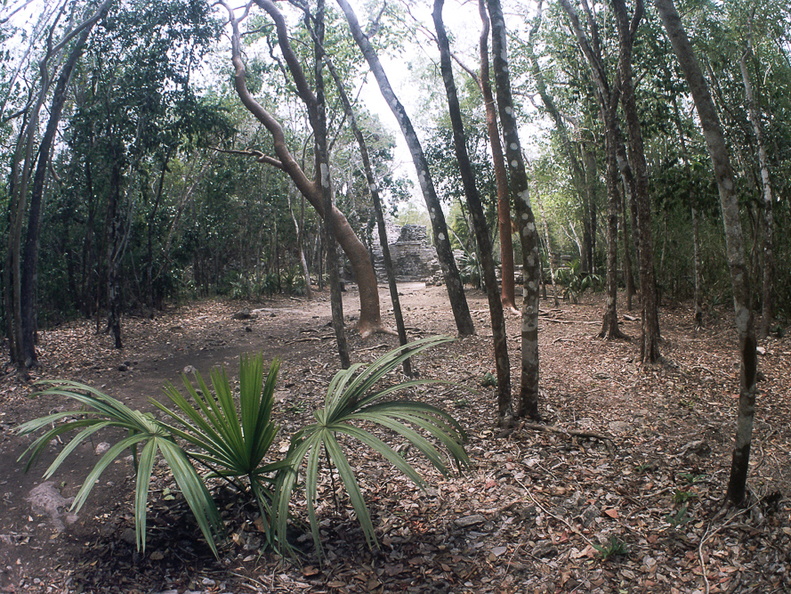 CobÃ¡