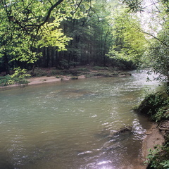 Swift Camp Creek