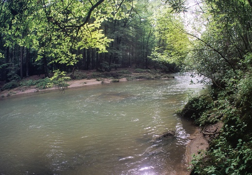 Swift Camp Creek