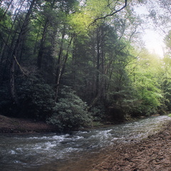 Swift Camp Creek