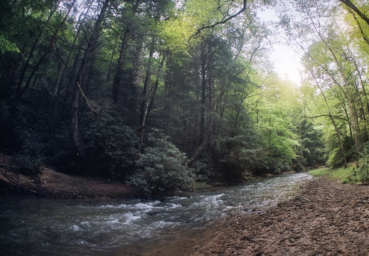 Swift Camp Creek