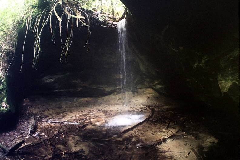 Swift Camp Creek