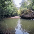 Swift Camp Creek