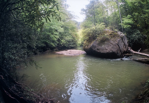 Swift Camp Creek