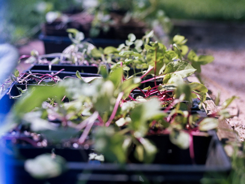 Beets and stuff