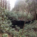 The Rough Trail