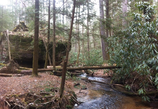 Rough Trail, Parched Corn Creek