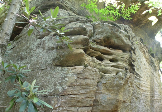 Furnace Arch &amp; Vicinity