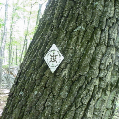 Sheltowee Trace & Furnace Arch