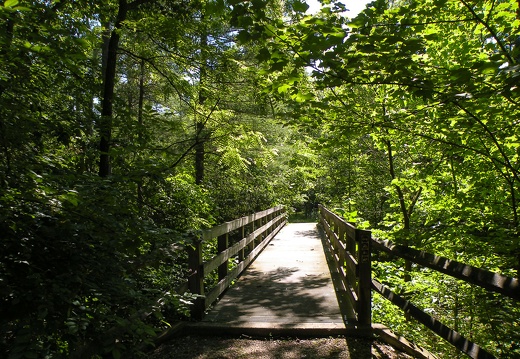 Sheltowee Trace at bridge over Clear Creek
