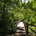 Sheltowee Trace at bridge over Clear Creek