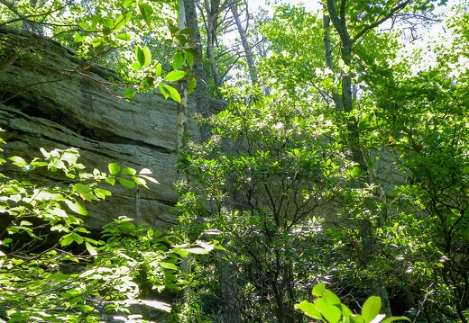 Furnace Arch &amp; Vicinity