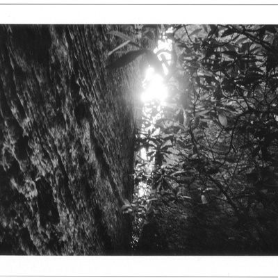 Summer days in the Red River Gorge