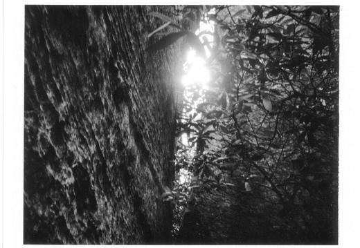 Summer days in the Red River Gorge