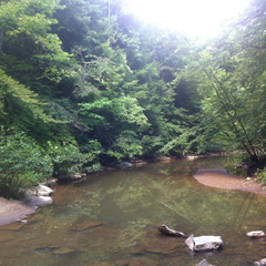 Sheltowee Trace