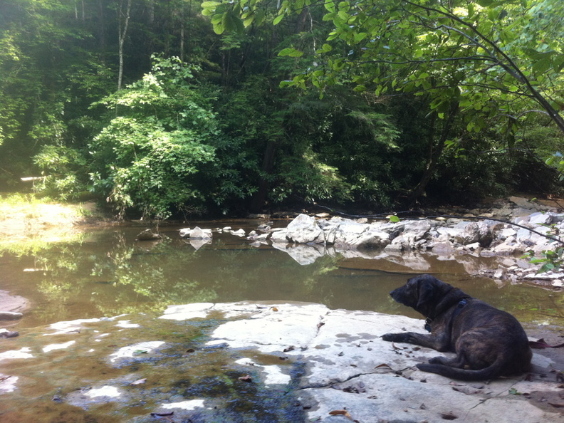 Sheltowee Trace