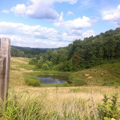 Old Landing, Kentucky