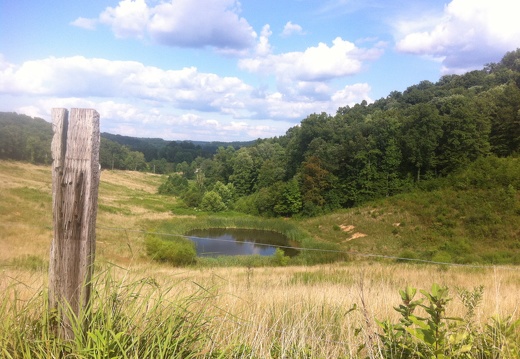 Old Landing, Kentucky