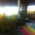 Rainbow, Swamp Rabbit Trail