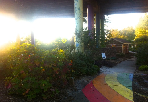 Rainbow, Swamp Rabbit Trail