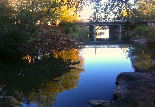 Swamp Rabbit Trail