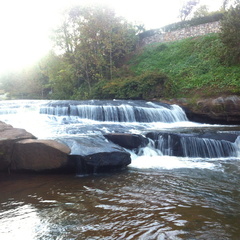 Falls Park on the Reedy