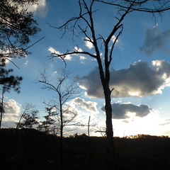 Sun behind Clouds