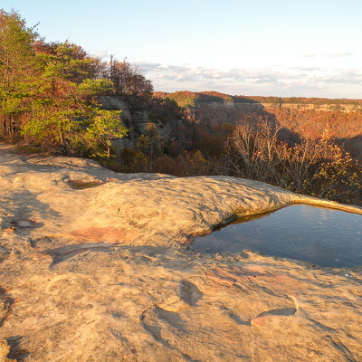 November Hike on Auxier Ridge, 2013