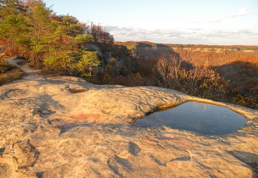 November Hike on Auxier Ridge, 2013