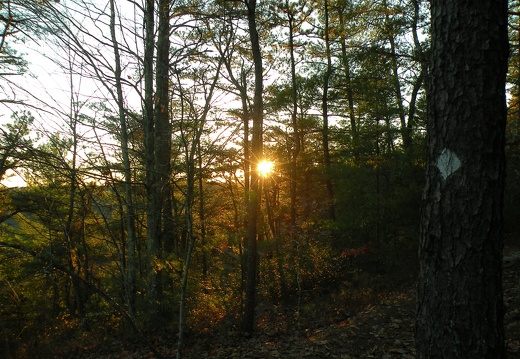 Sunset on Trail