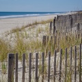 Beach and Aquarium