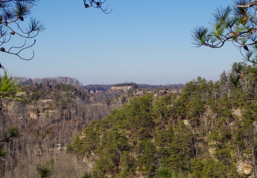 Cliff Landscape