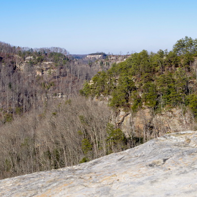 Winter Views along the Rough Trail