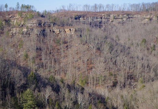 Cliff Landscape