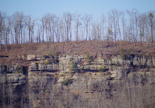 Cliff Landscape