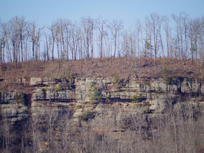 Cliff Landscape