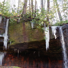 Turtle Back Falls