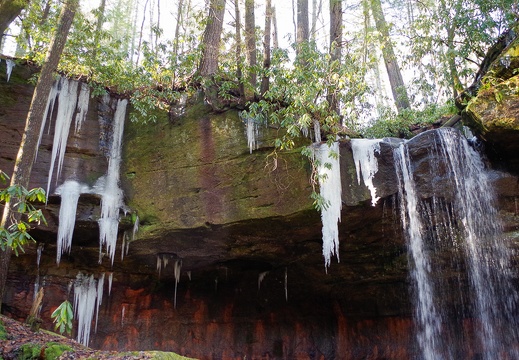 Turtle Back Falls