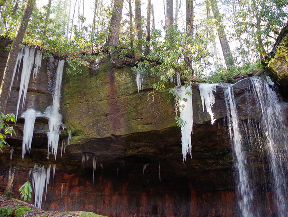 Turtle Back Falls